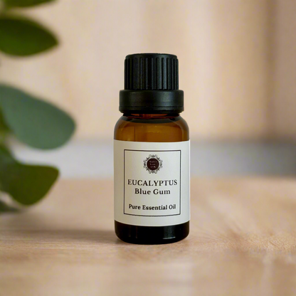 Eucalyptus Blue Gum Essential Oil